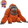 Wild Republic Artist Collection - Male Orangutan New