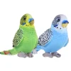 Wild Republic Budgie Stuffed Animal - 6" Clearance