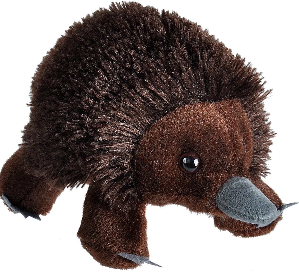 Wild Republic Hug'ems Echidna Stuffed Animal - 7" Store