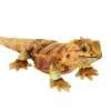 Wild Republic Living Earth Bearded Dragon Stuffed Animal - 24" Online