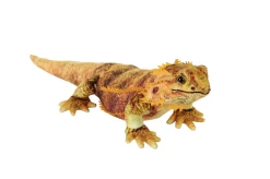 Wild Republic Living Earth Bearded Dragon Stuffed Animal - 24" Online