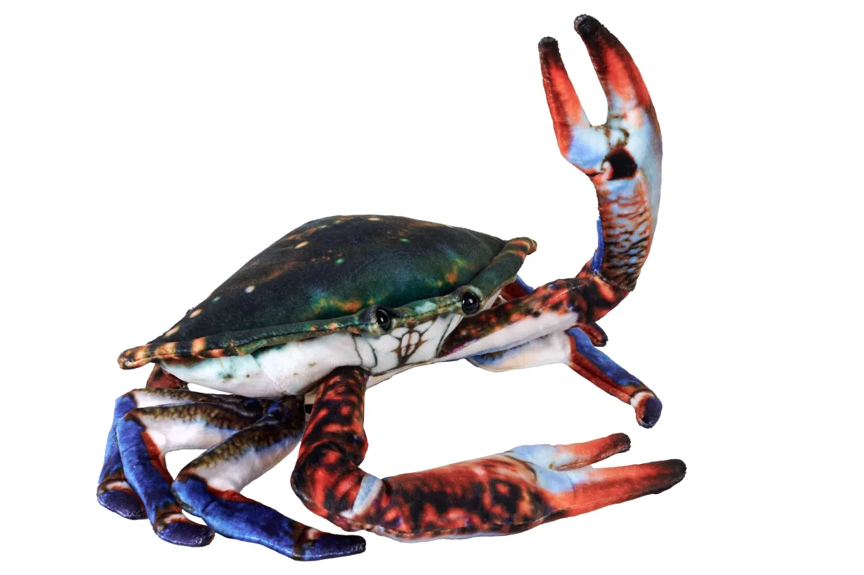 Wild Republic Living Earth Crab Stuffed Animal - 9" Online