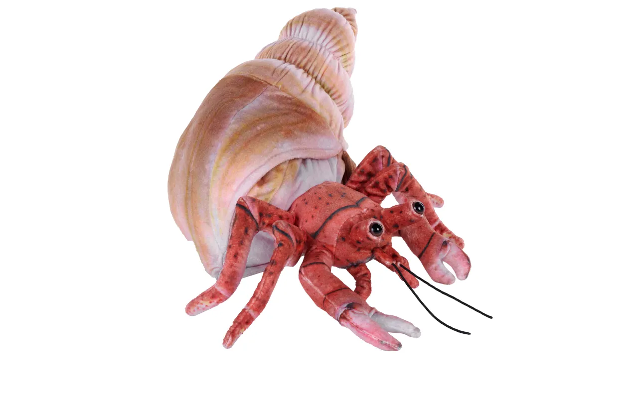 Wild Republic Living Earth Hermit Crab Stuffed Animal - 12" Outlet
