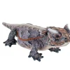 Wild Republic Living Earth Horned Lizard Stuffed Animal - 20" Shop
