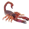 Wild Republic Living Earth Scorpion Stuffed Animal - 25" Best