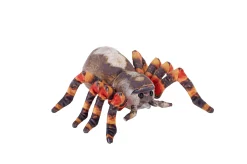 Wild Republic Living Earth Tarantula Stuffed Animal - 12" Shop