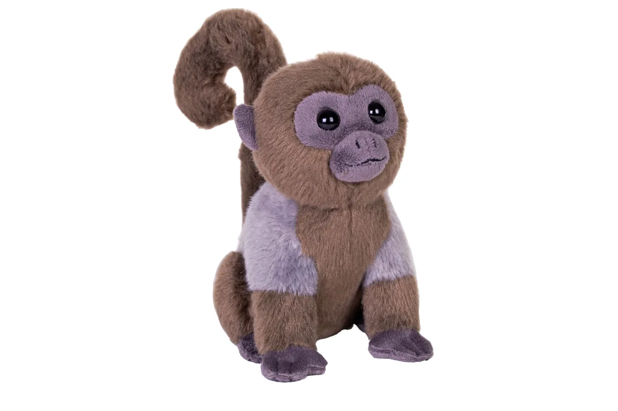 Wild Republic Rainforest Splendors Wolly Monkey Stuffed Animal - 6" Cheap